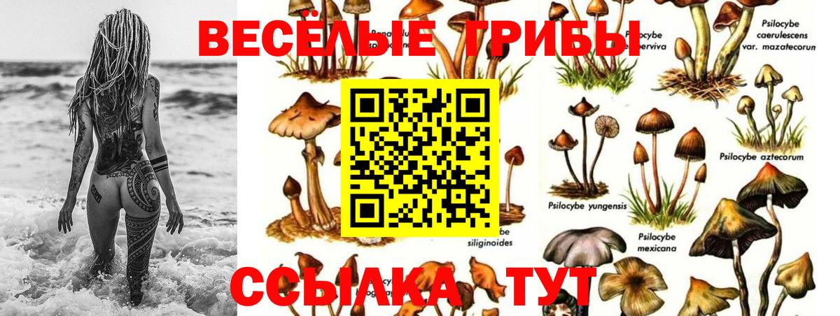Псилоцибиновые грибы GOLDEN TEACHER  Вход с VPN  Ярославль 